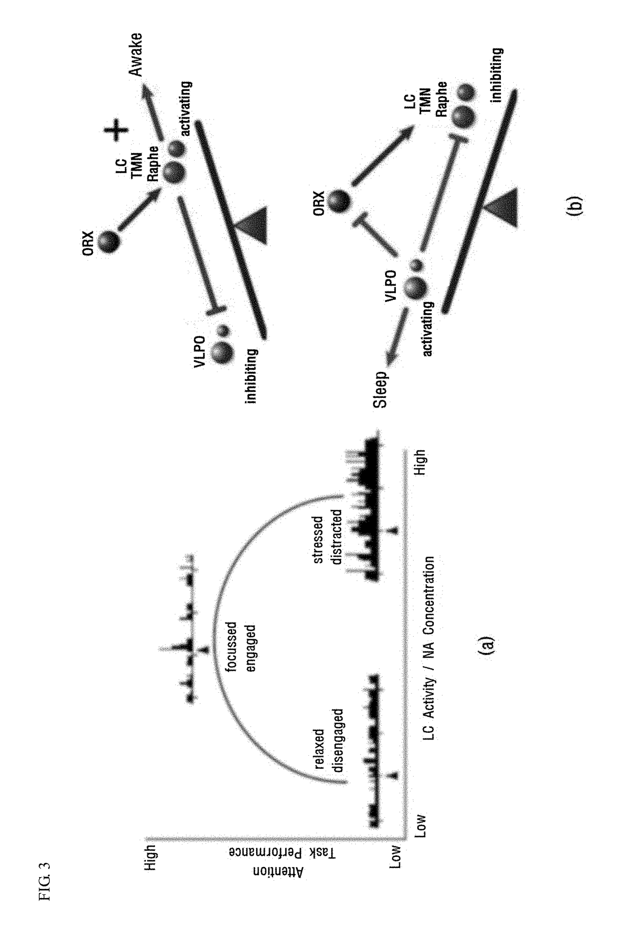 Wearable cervical transdermal pulsed electrical stimulation devices and control method of the same