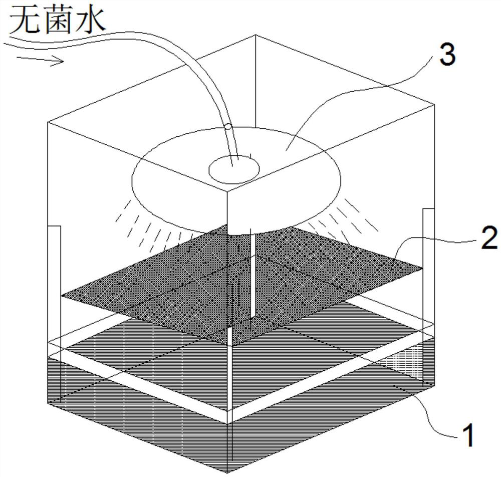 Industrialized breeding method for sterile cordyceps sinensis host larvae