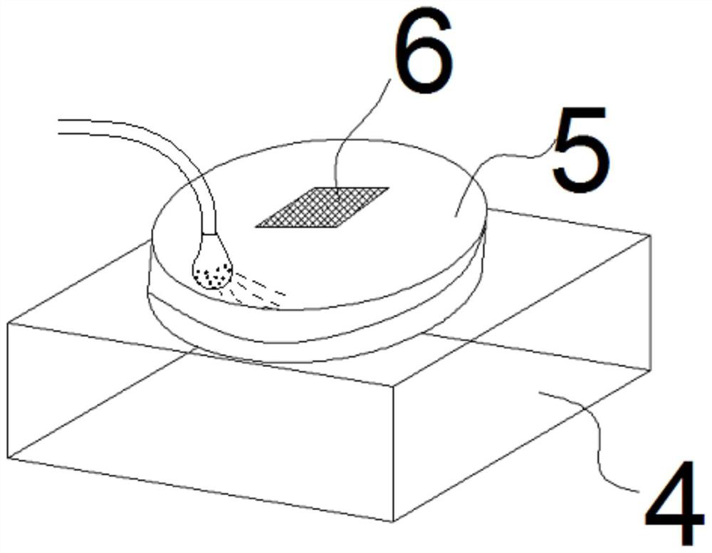 Industrialized breeding method for sterile cordyceps sinensis host larvae