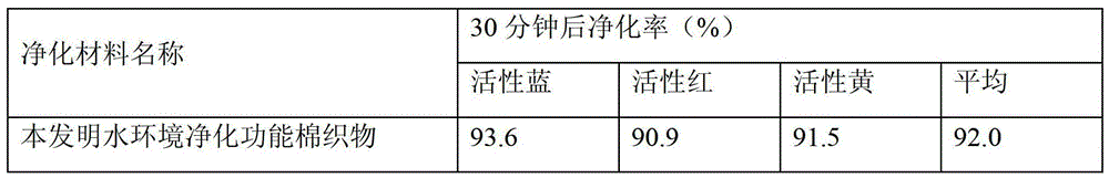 Preparation method of interface plasma modified and amphiphilic fiber-based purifying material