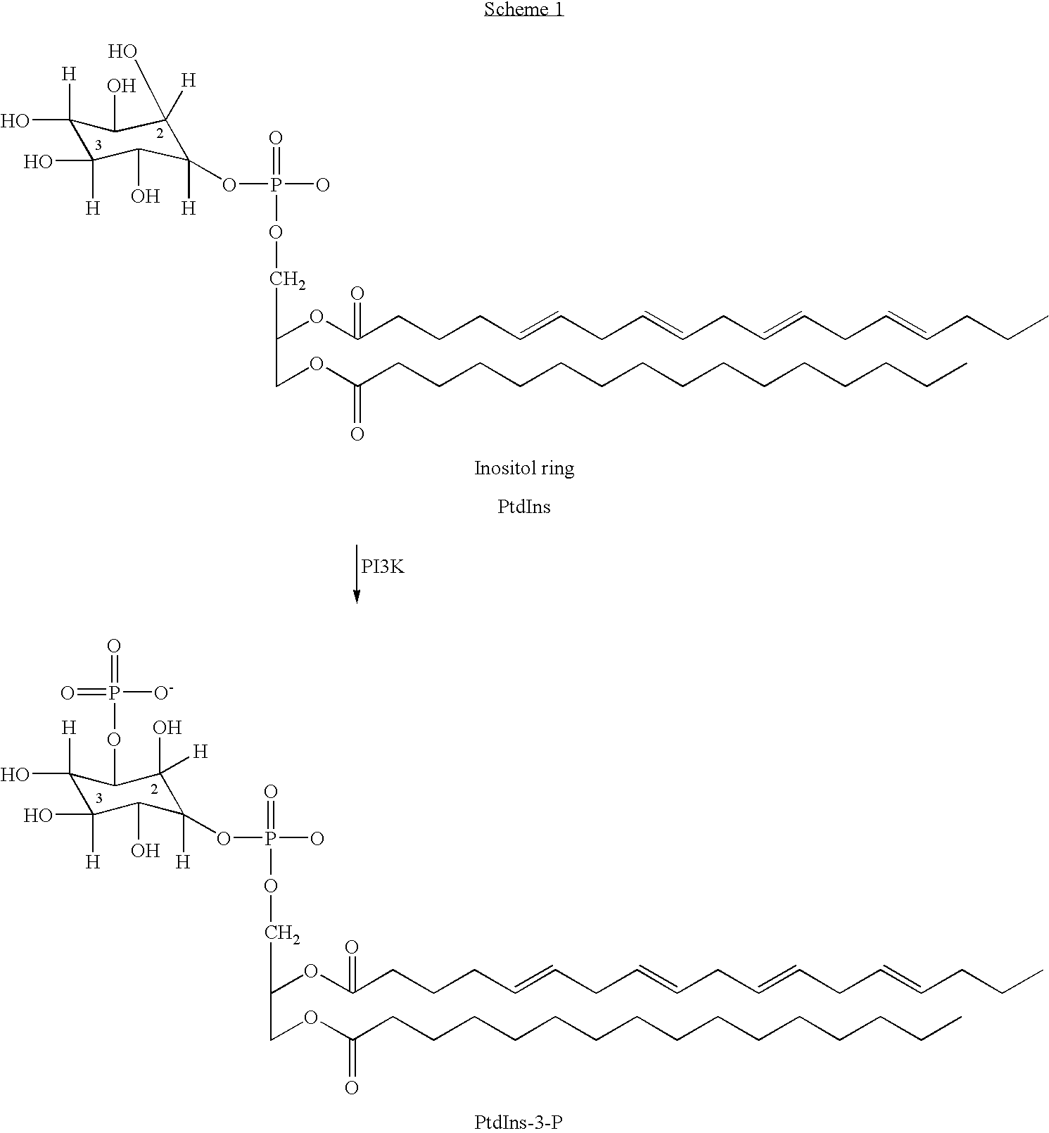 Azolidinone-vinyl fused-benzene derivatives