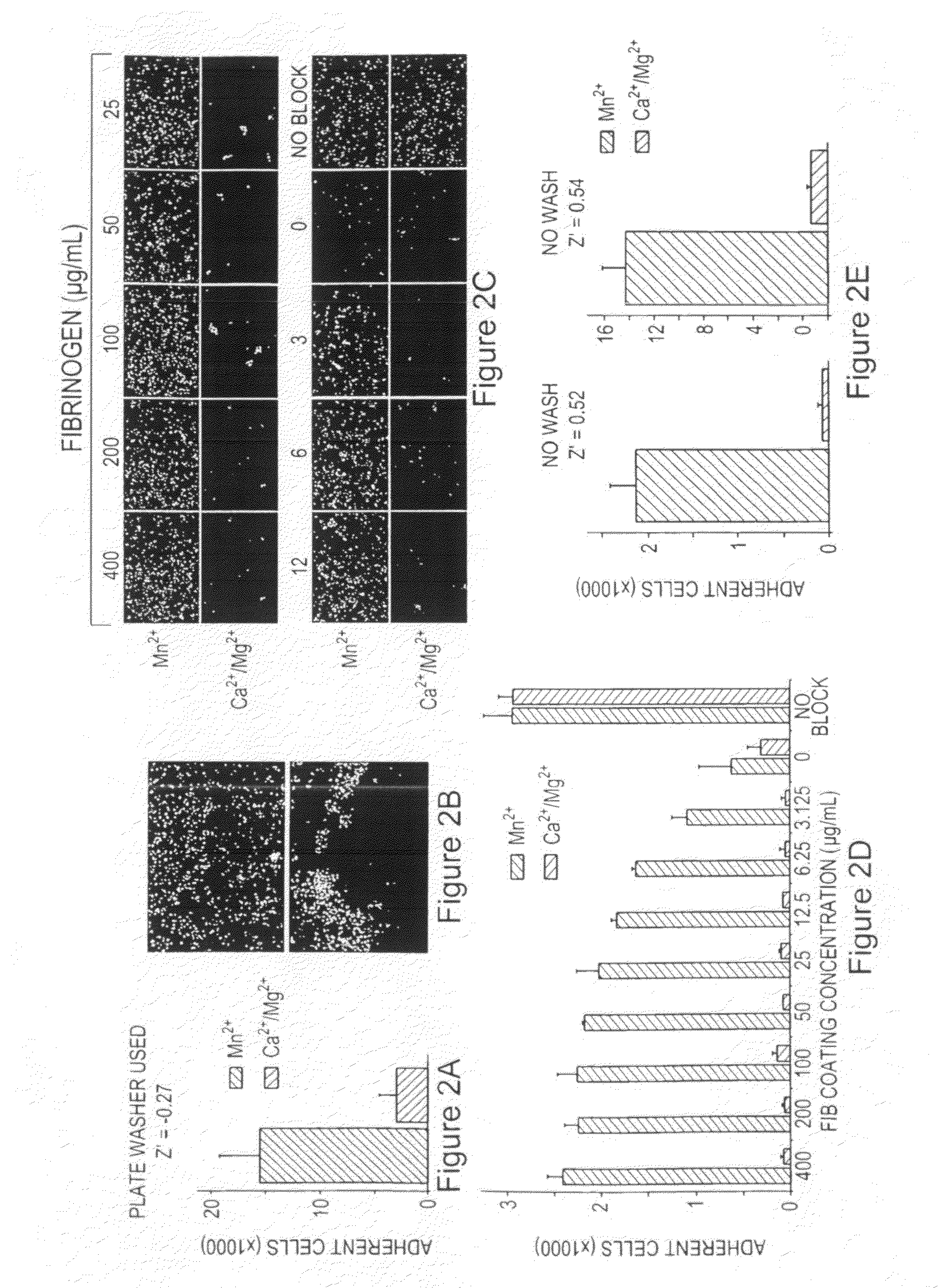 Compounds for modulating integrin CD11b/CD18