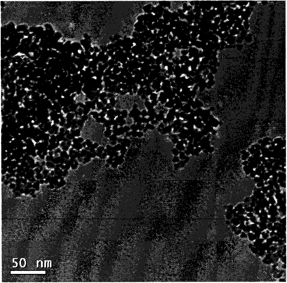 Hydrothermal synthesis method for IVB-group metal oxide