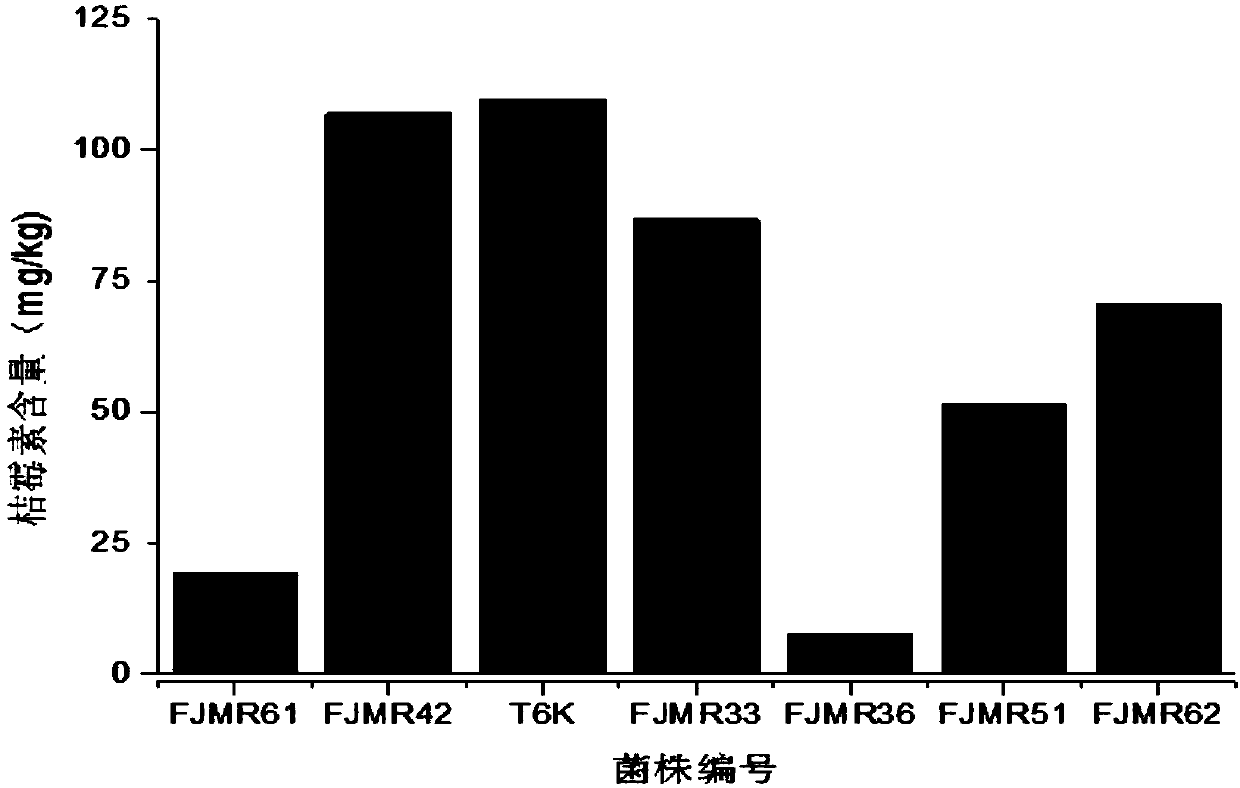 Monasucspurpureus and application thereof