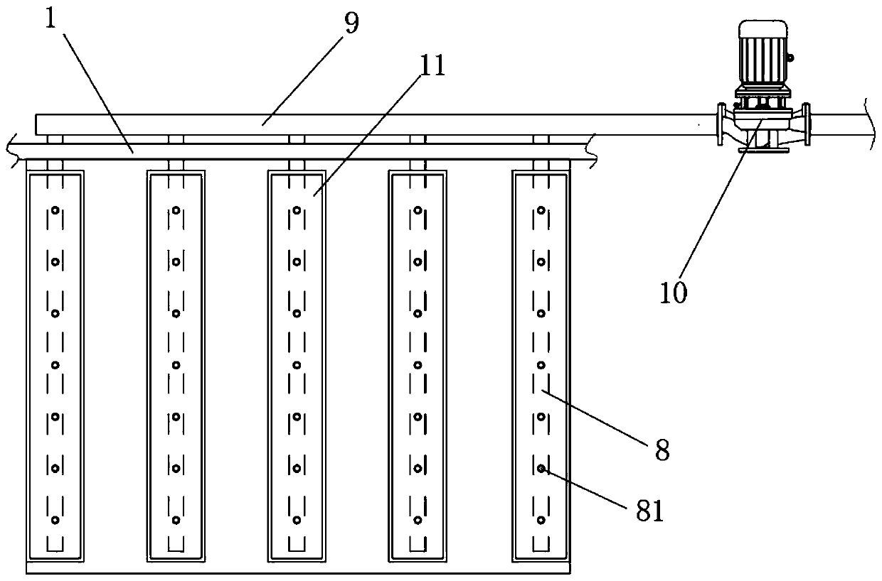 Ecological greenhouse capable of simulating original ecological environment and used for phalaenopsis cultivation