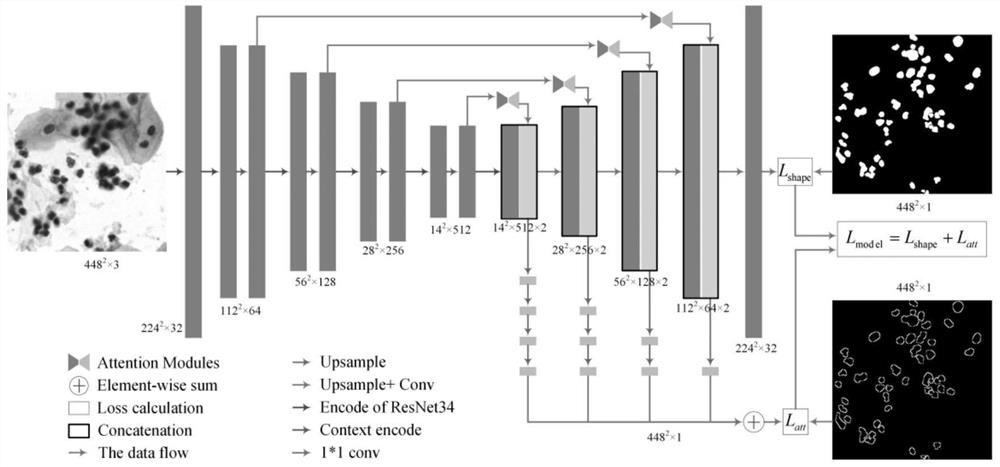 Cell nucleus segmentation method based on attention learning