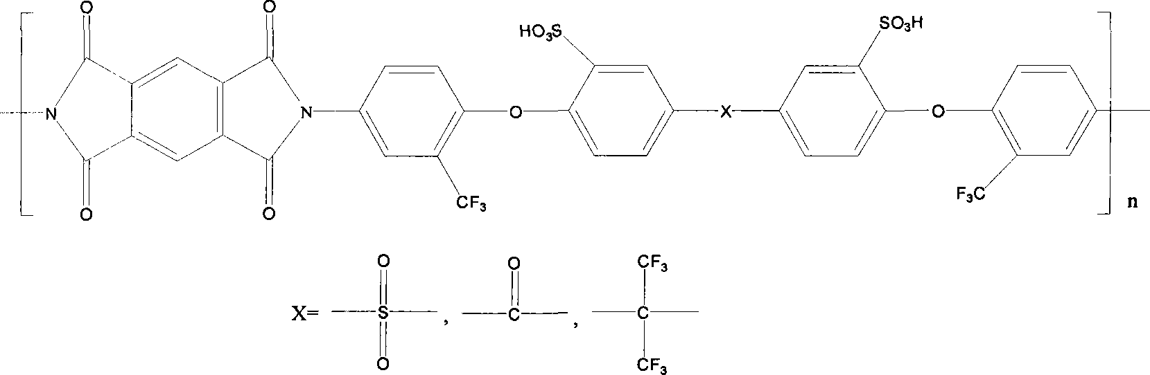 Hydrolyzation tolerant sulfonated polyimide proton exchange membrane and preparation thereof