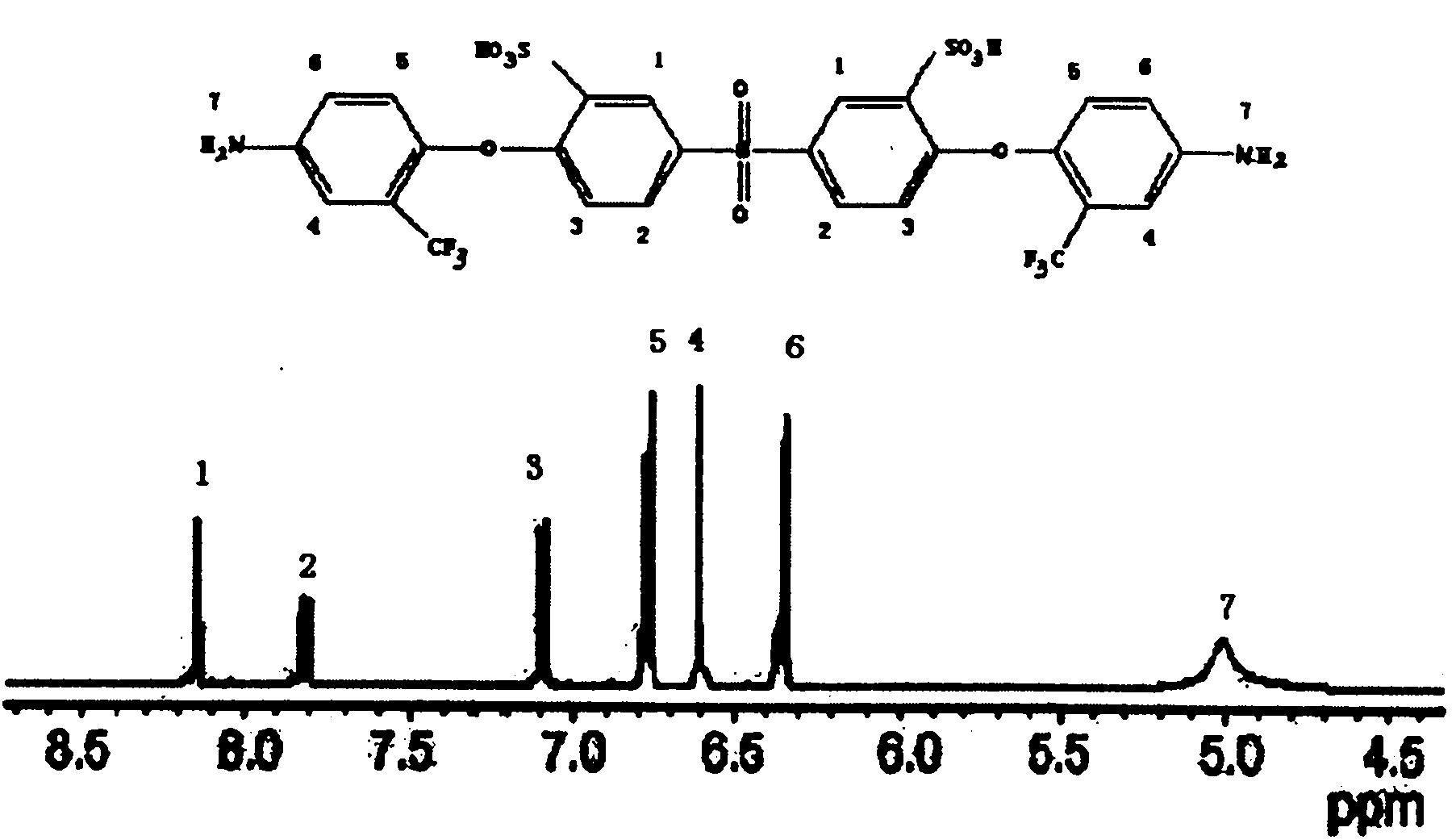 Hydrolyzation tolerant sulfonated polyimide proton exchange membrane and preparation thereof