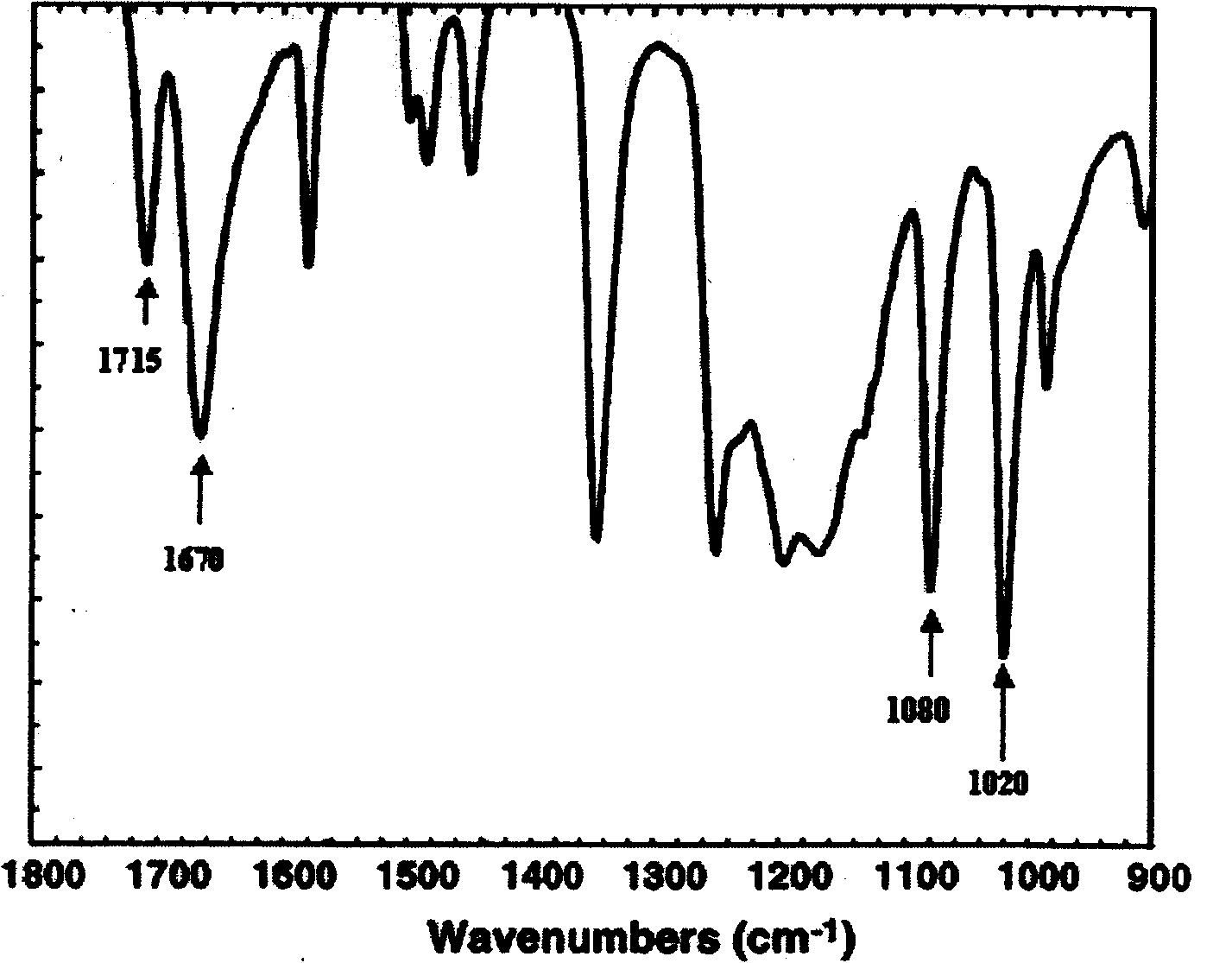 Hydrolyzation tolerant sulfonated polyimide proton exchange membrane and preparation thereof