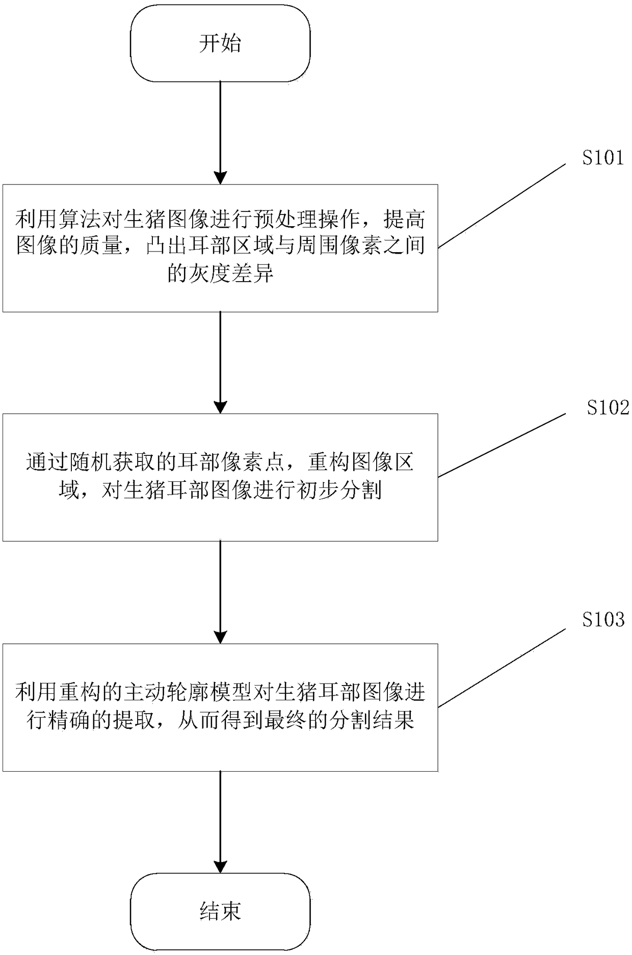 Live pig ear image segmentation method based on active contour model