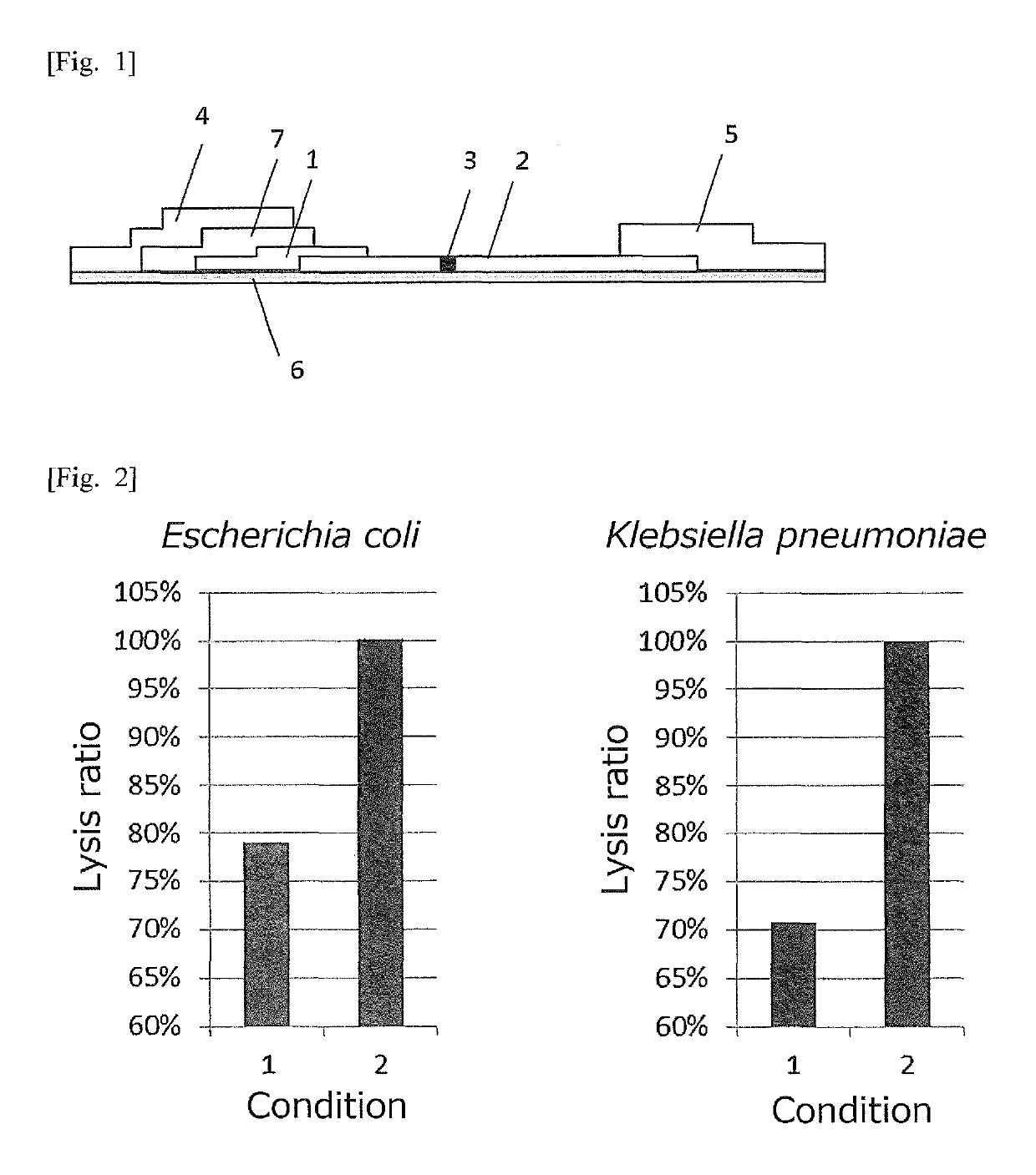 Method for detecting coliform bacteria contained in milk