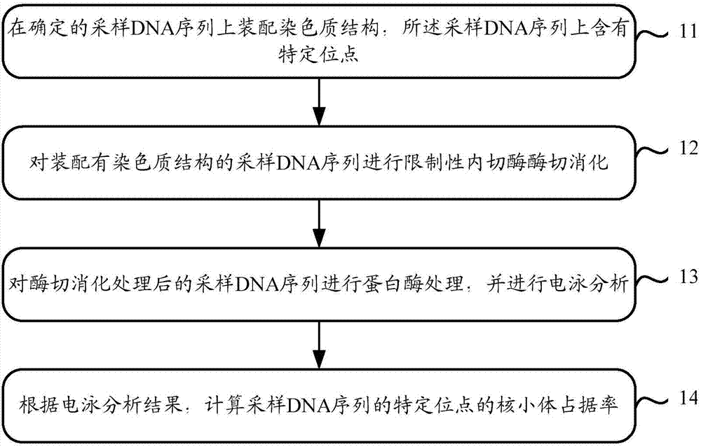 Capacity detection method for assembling chromatin structure on specific site of DNA sequence