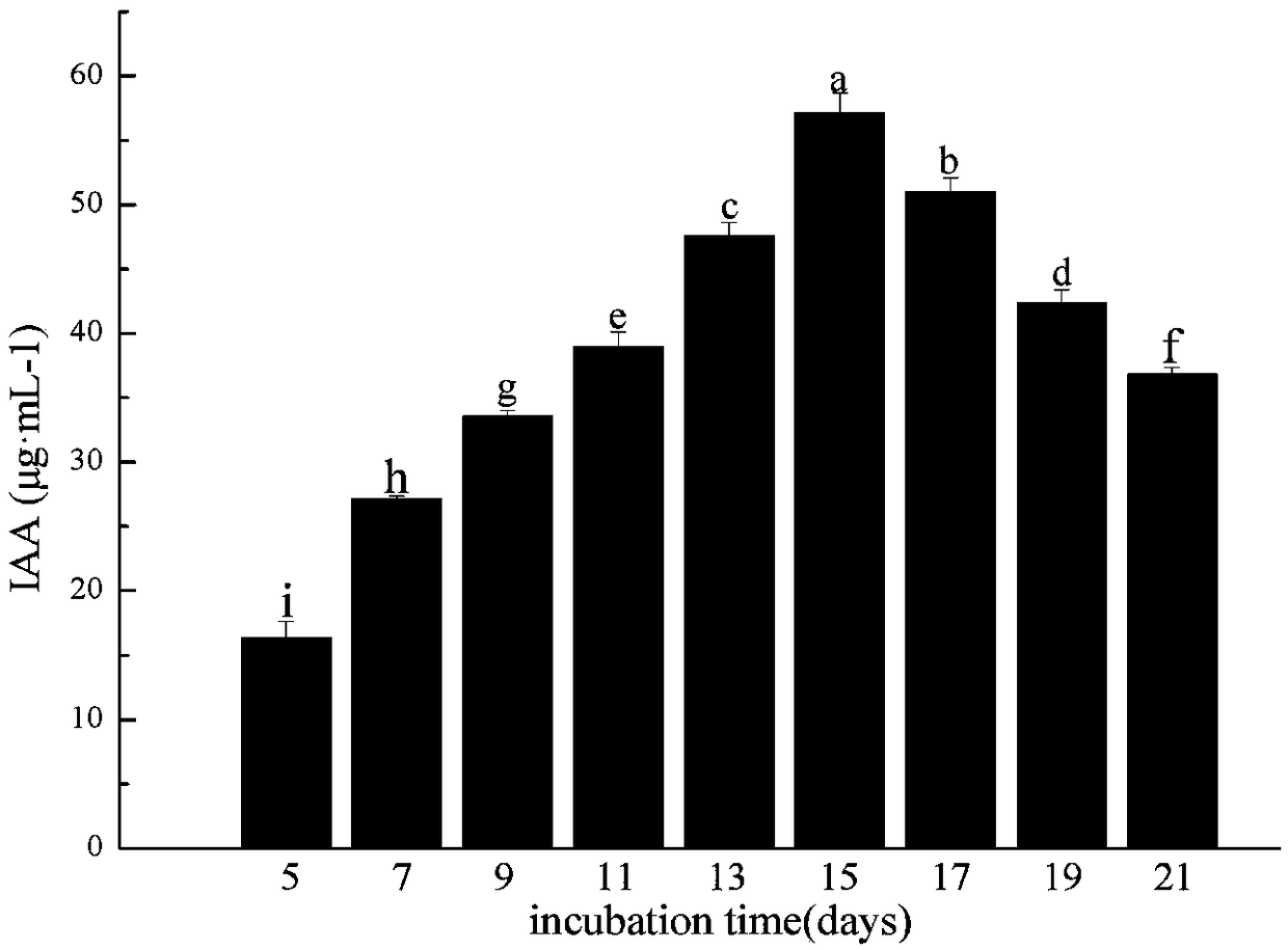 Streptomyces alboflavus, method using Streptomyces alboflavus to prepare biocontrol microbial agent and application