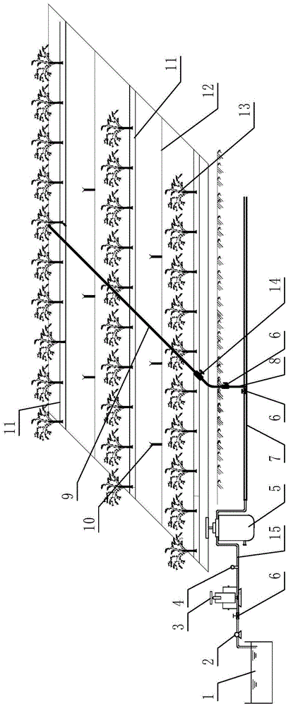 Spraying and dripping irrigating system for fruit trees