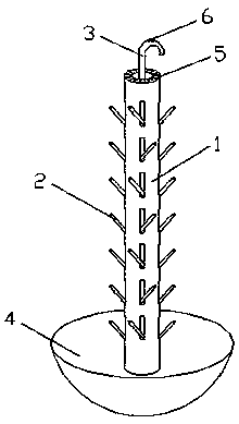 Sipunculus nudus airing suspended rod