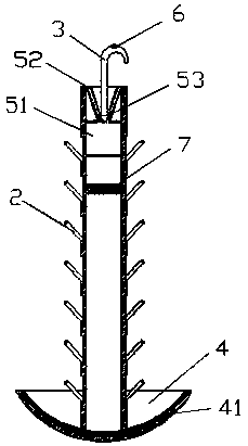 Sipunculus nudus airing suspended rod