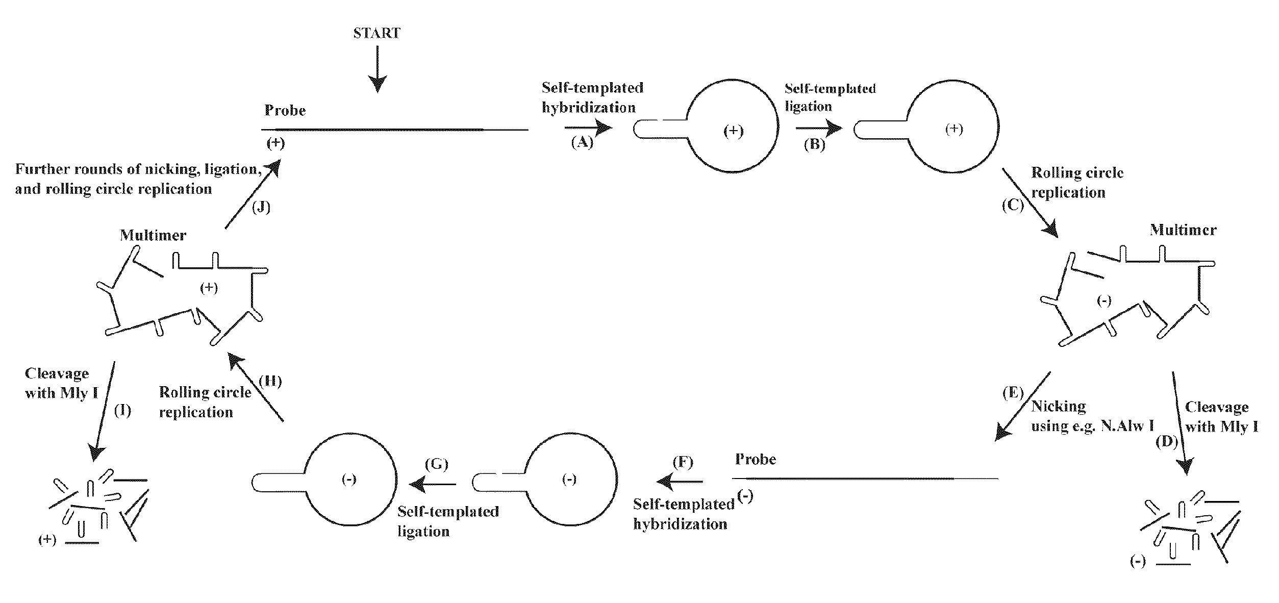 Methods for production of oligonucleotides