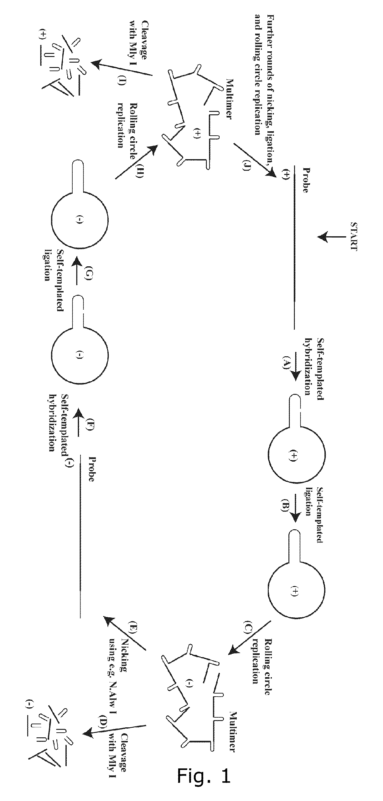 Methods for production of oligonucleotides