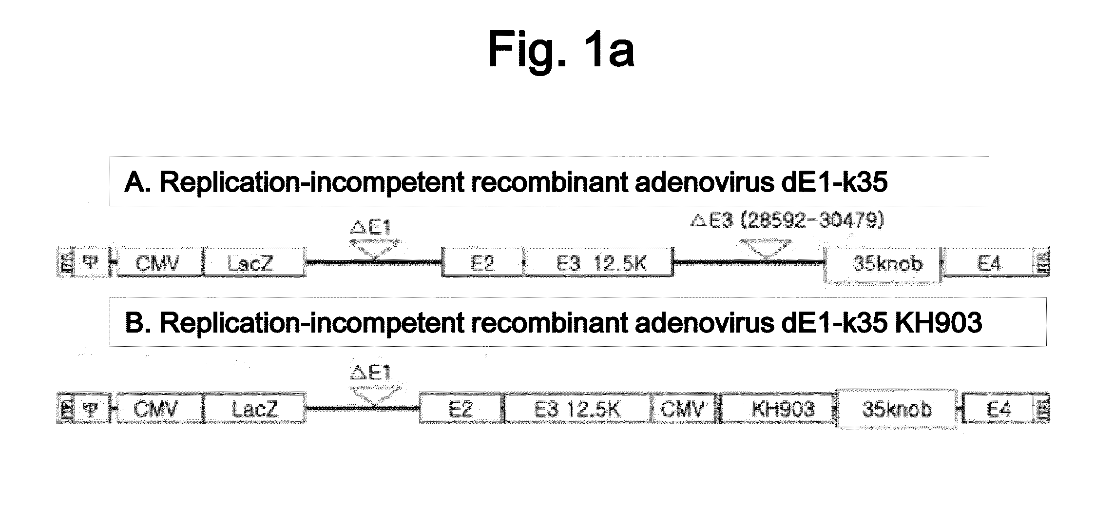 Recombinant Adenovirus Having Anti-Angiogenesis Activity