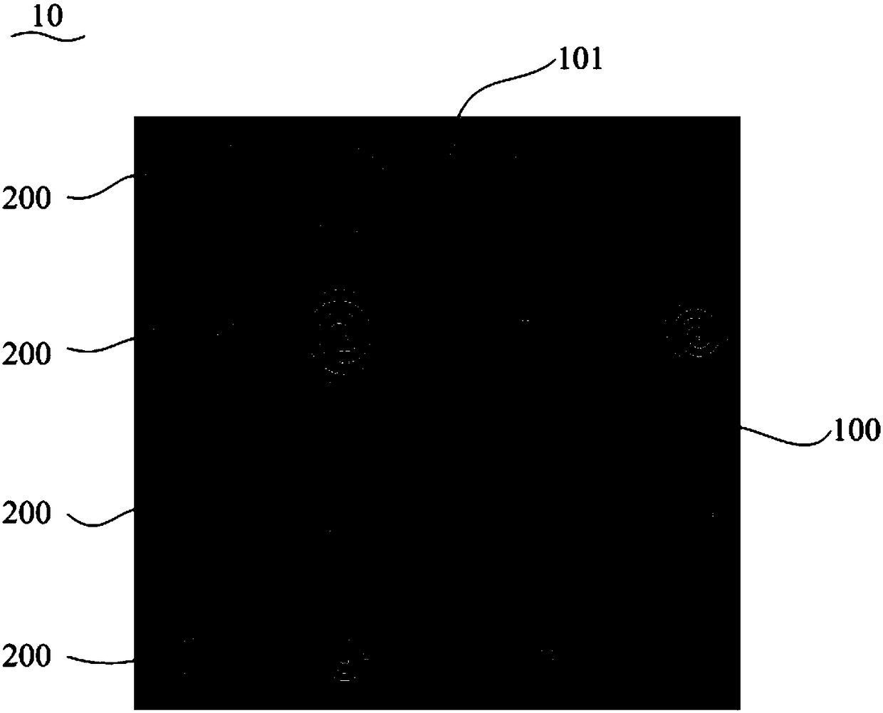 Biological chip and preparation method thereof