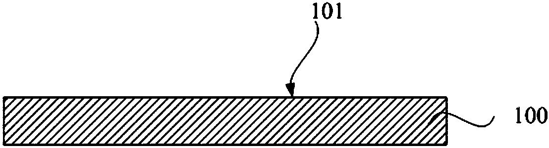 Biological chip and preparation method thereof