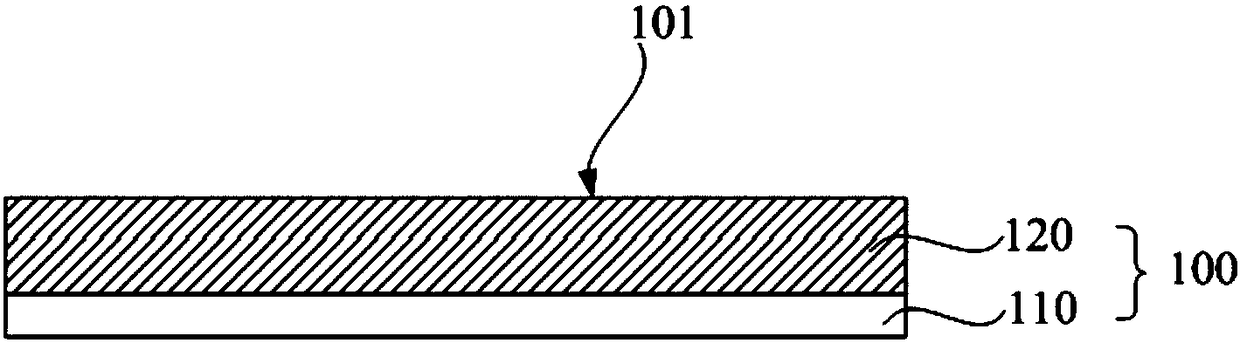 Biological chip and preparation method thereof