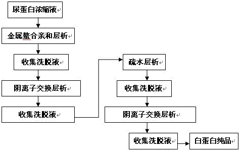 A method for preparing human serum albumin from urine