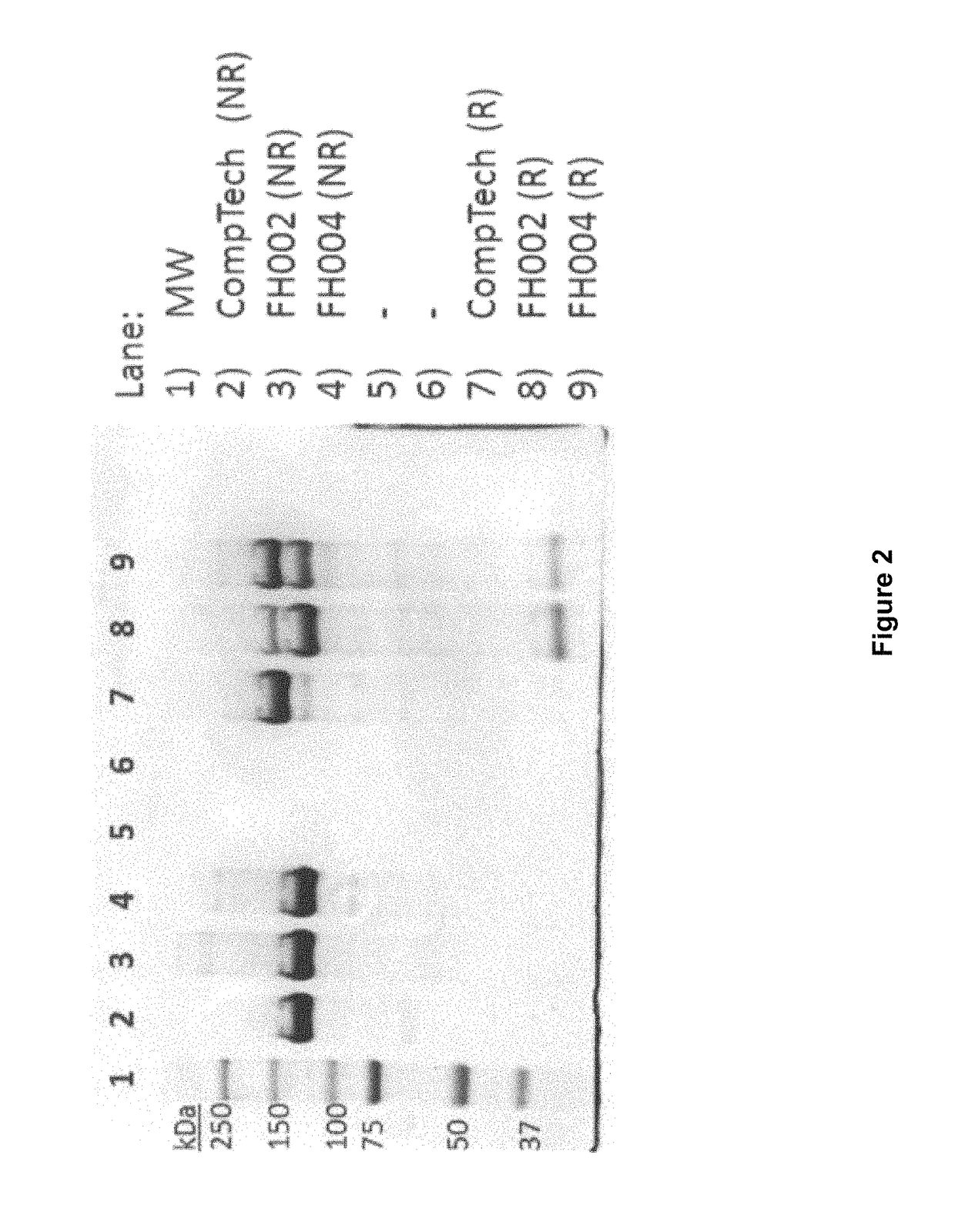 Method for producing factor H from a plasma precipitation fraction