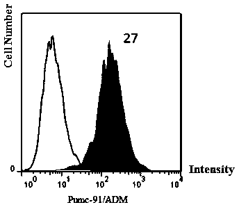 Application of CD3xB7H3 bispecific antibody in directional killing of human bladder cancer cells