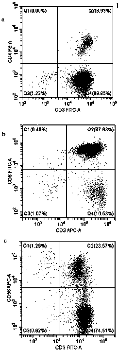 Application of CD3xB7H3 bispecific antibody in directional killing of human bladder cancer cells