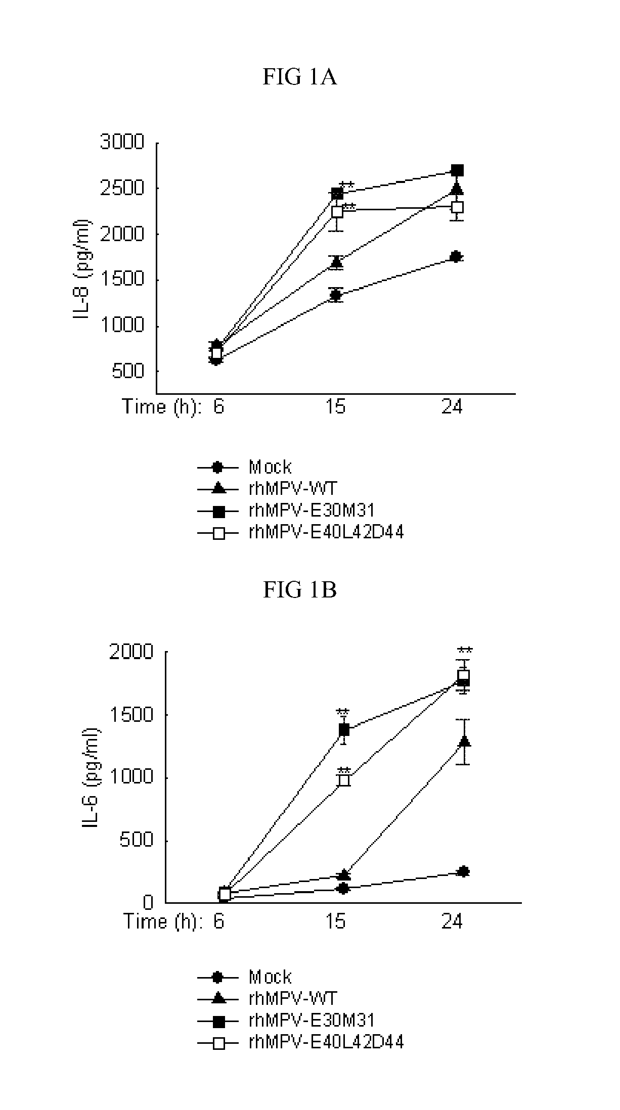 Live attenuated recombinant hmpv with mutations in pdz motifs of m2-2 protein, vaccine containing and use thereof