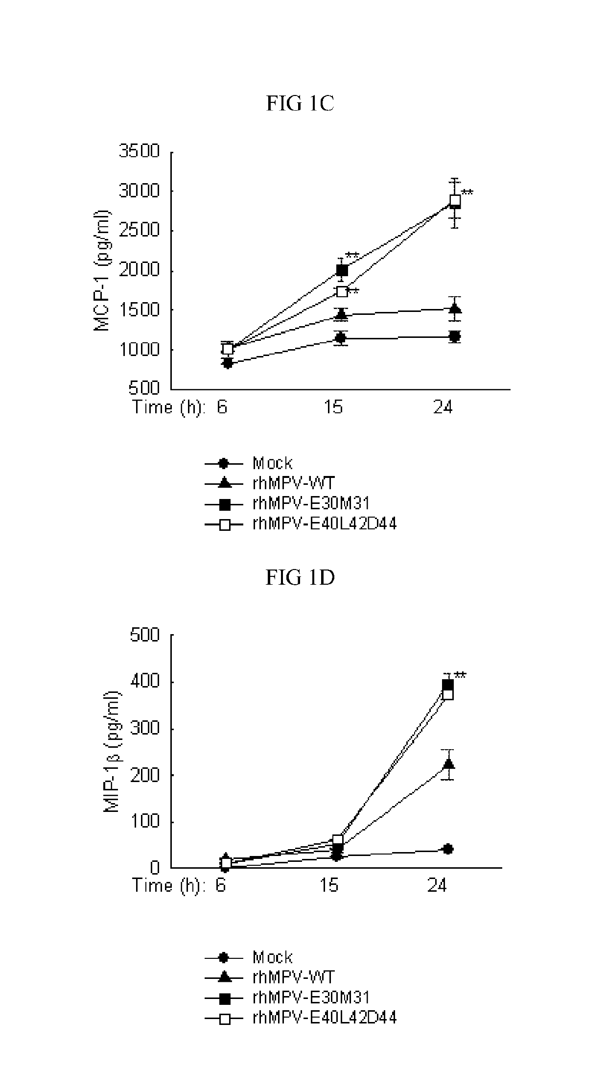 Live attenuated recombinant hmpv with mutations in pdz motifs of m2-2 protein, vaccine containing and use thereof