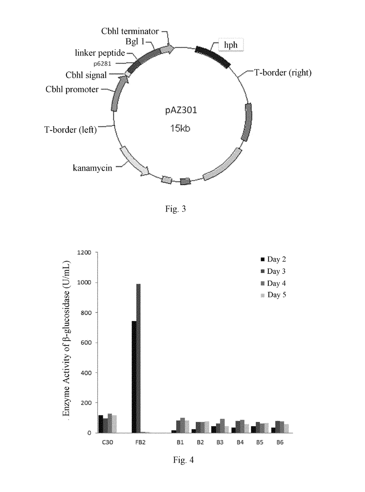 Methods for recombinant expression of beta-glucosidase gene