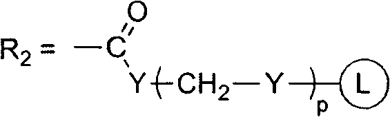 Composite antimicrobial of nanometer silver bromide polymer and preparation method thereof