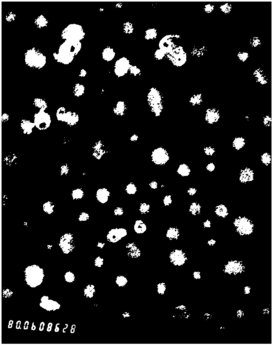 A hyaluronic acid-cationic drug ion-pair particle