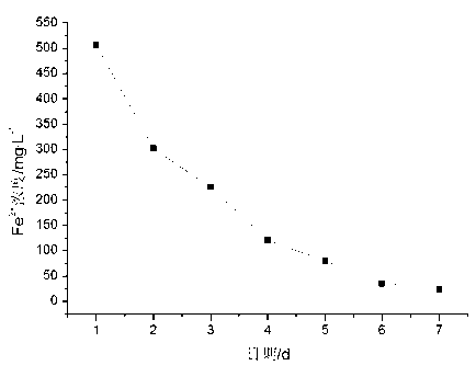 Iron matrix autotrophic denitrification microbacterium strain and application thereof