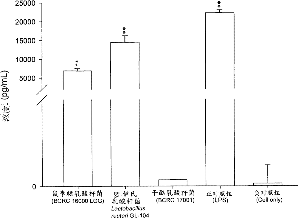 Food composition and medicinal composition of lactobacillus strain for treating allergy