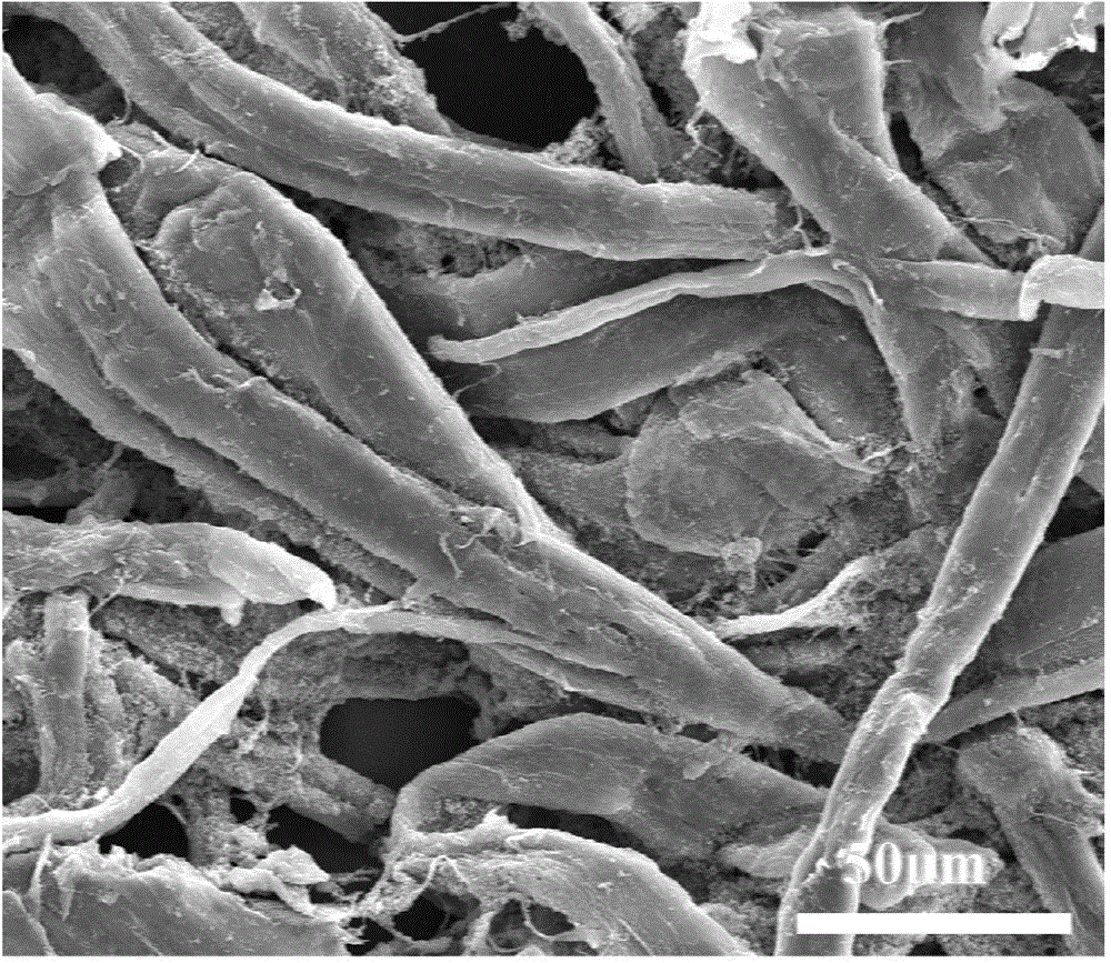 Preparation method of polypyrrole/palladium-cellulose paper base catalyst for catalyzing ammonia borane dehydrogenation