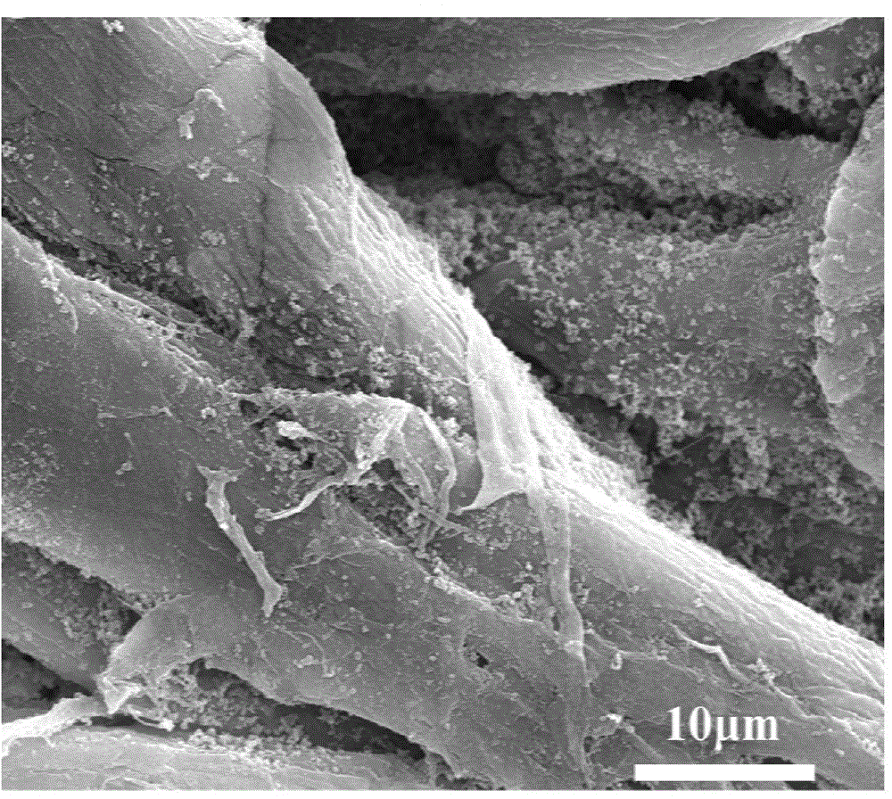 Preparation method of polypyrrole/palladium-cellulose paper base catalyst for catalyzing ammonia borane dehydrogenation