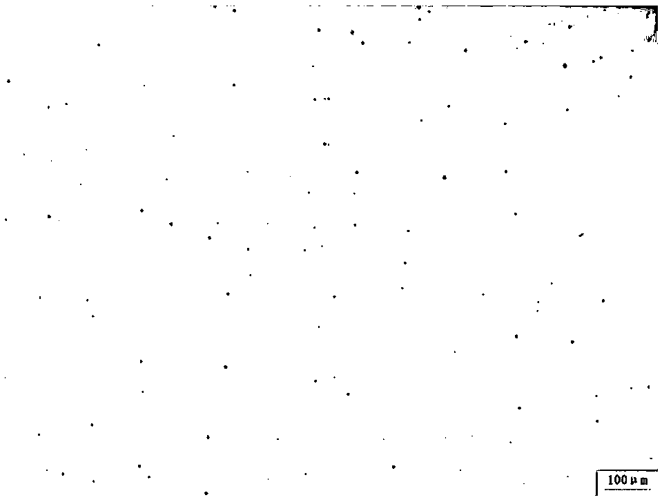 Multipurpose all-austenite low-density steel and preparation method thereof