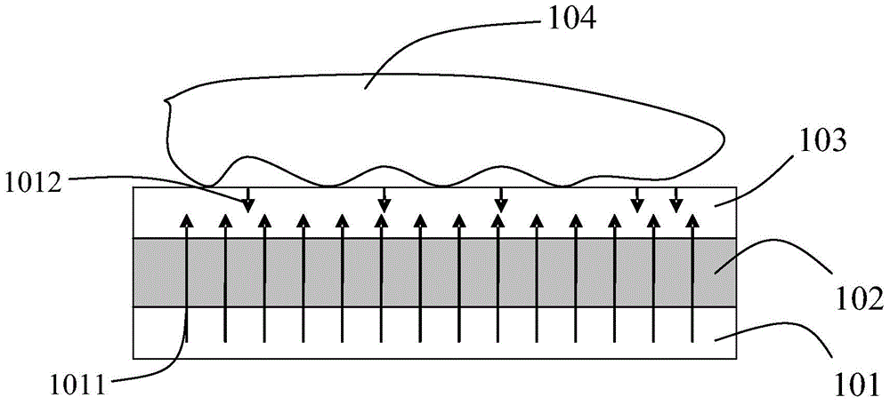 Information detection display device, detection method and display method of information detection display device