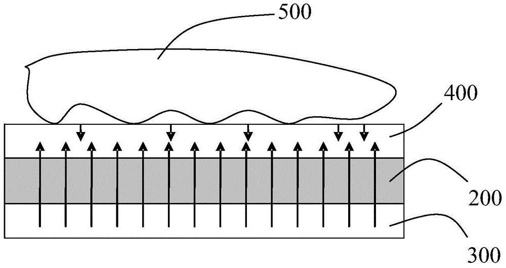 Information detection display device, detection method and display method of information detection display device