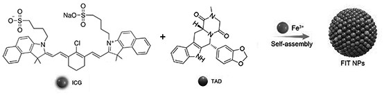 A kind of tadalafil supramolecular nanoparticle and its preparation method and application