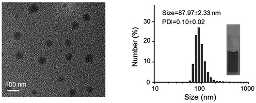 A kind of tadalafil supramolecular nanoparticle and its preparation method and application