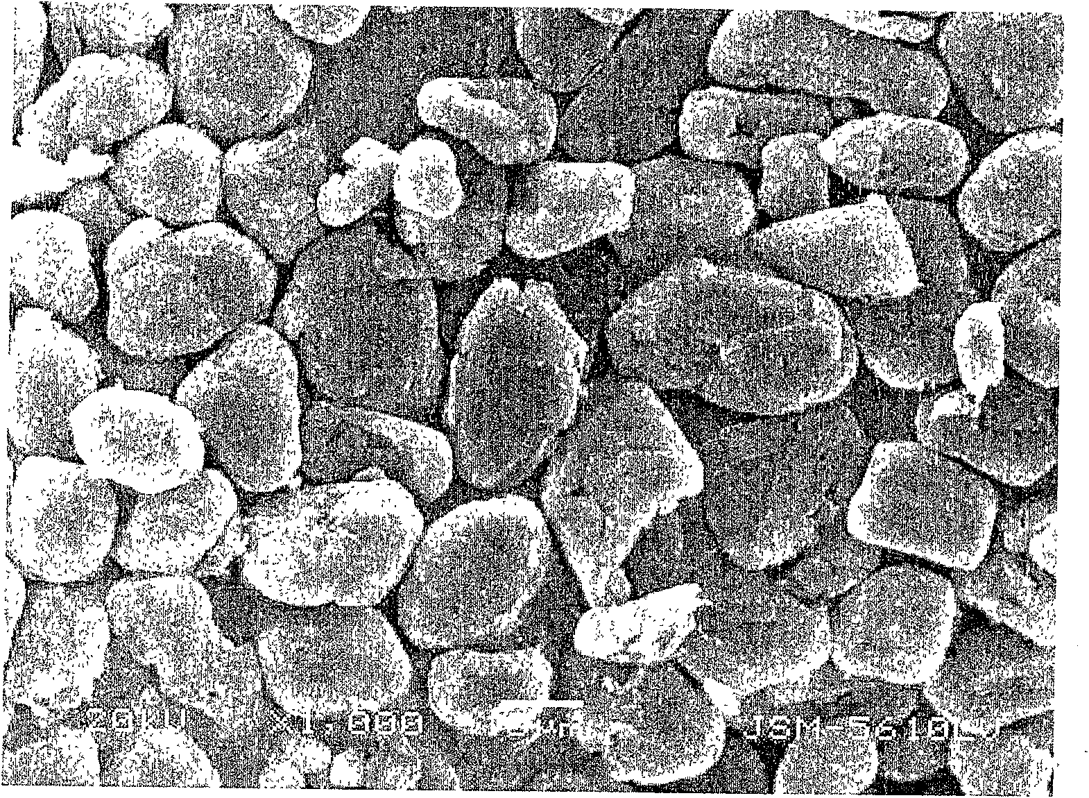 Method for encapsulating active material for negative pole of Li-ion secondary battery