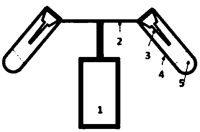 Sodium alginate droplet-assisted method for mass spectrometry sample production and ionization of living matter