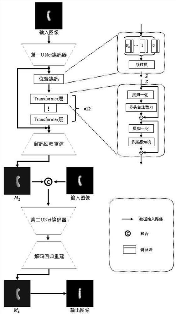 Bent chromosome image straightening method based on joint model