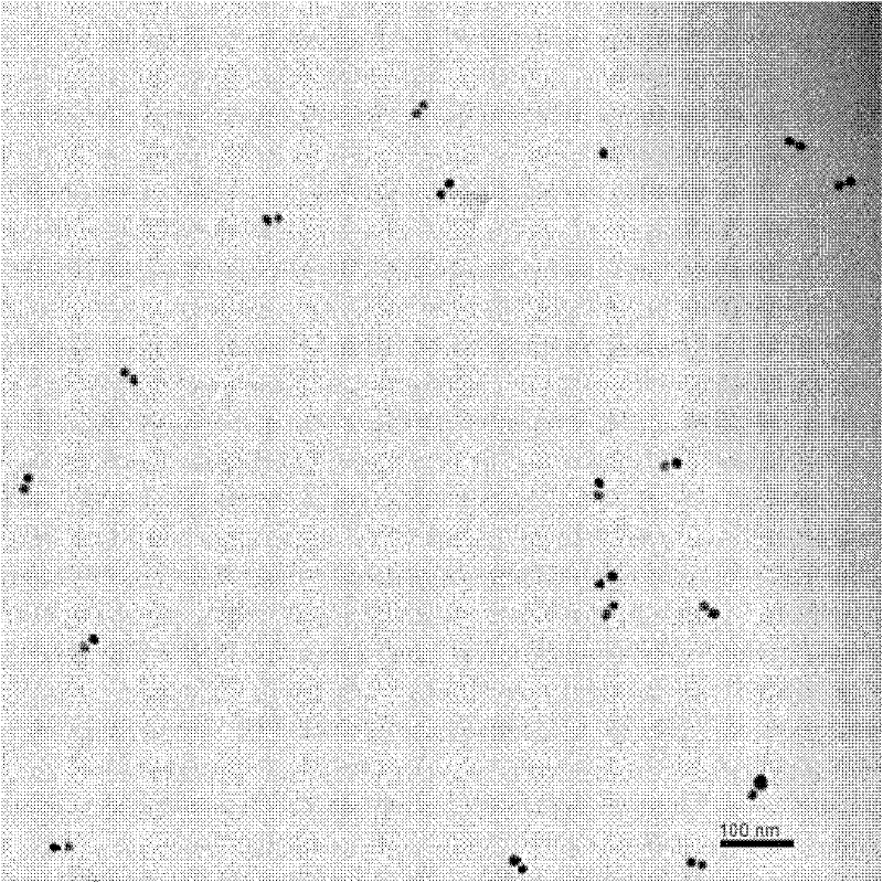 Preparation method of metal nanoparticle dimer