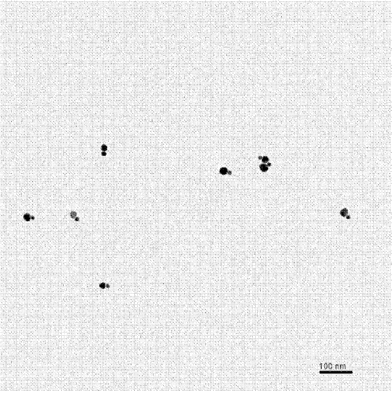 Preparation method of metal nanoparticle dimer