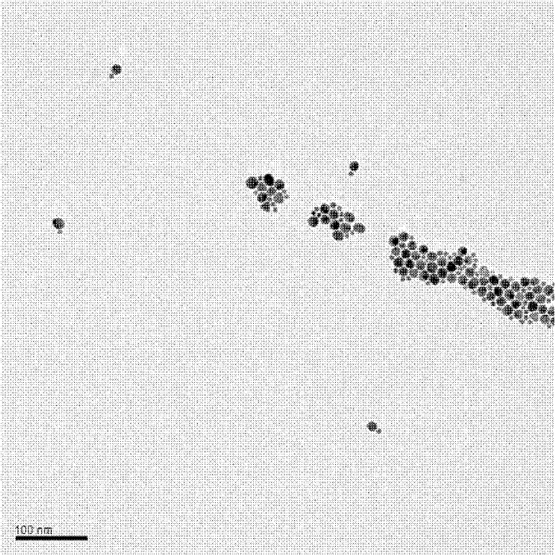 Preparation method of metal nanoparticle dimer